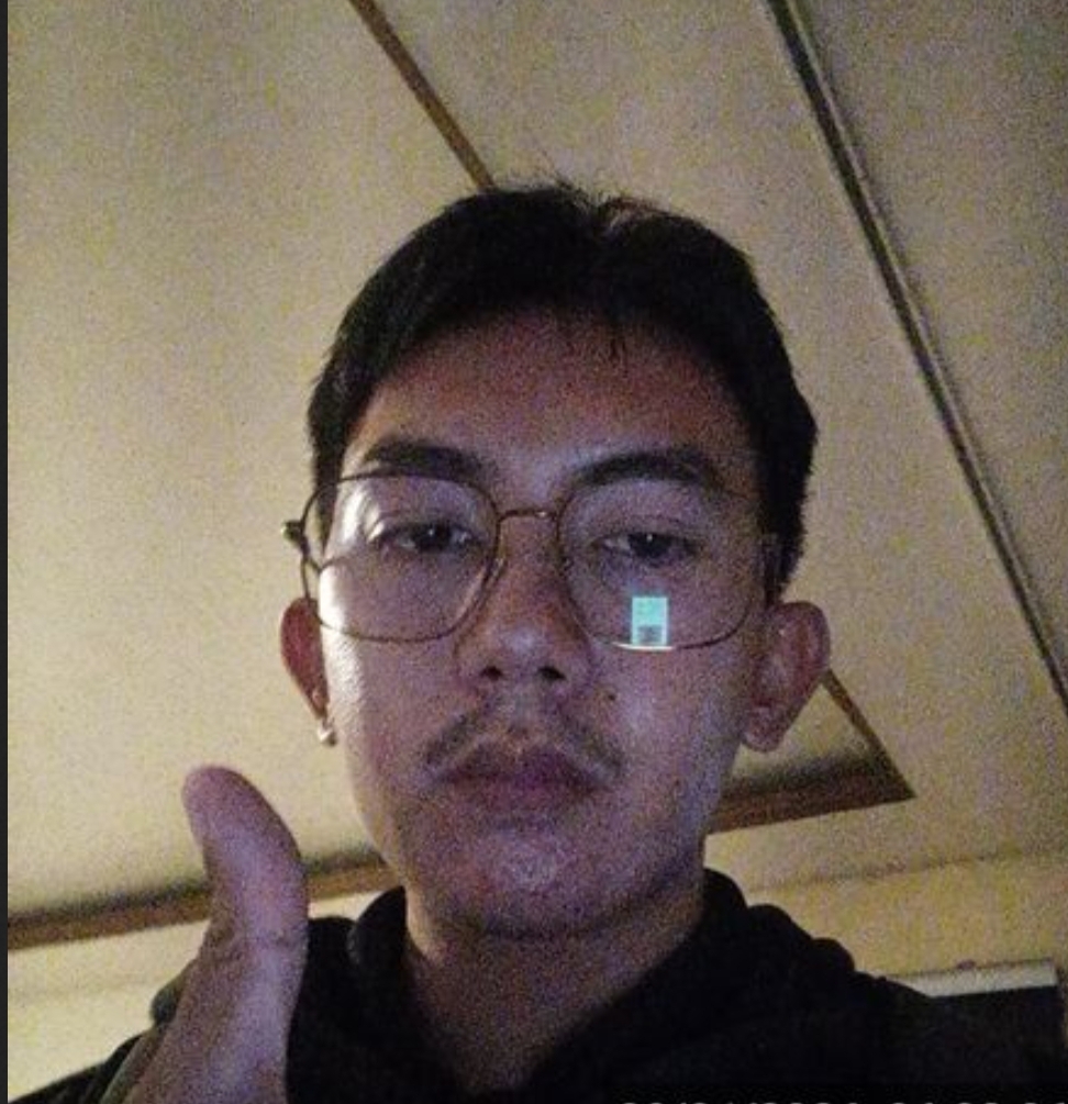 Developer